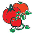 Cover photo for North Carolina Tomato Growers Association