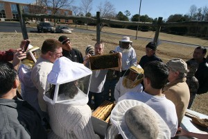 Chatham County Beekeeping School