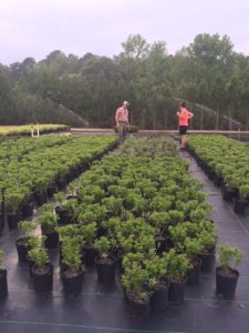 Cover photo for February 11, 2020 Eastern NC Nursery Conference Registration Available Now
