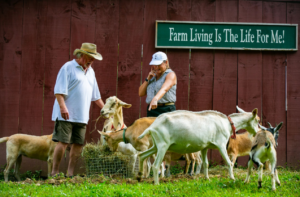 Cover photo for Creating Your Own Paradise  - NC Farm School Stories