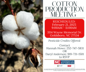 Cover photo for Rescheduled: 2025 Cotton Production Meeting