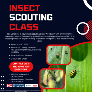 Cover photo for Insect Scouting Class