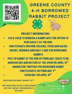 Cover photo for Greene County 4-H Borrowed Rabbit Project